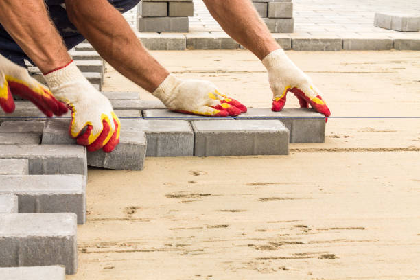 Best Driveway Paving Contractor  in Braidwood, IL