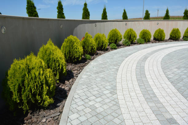 Best Driveway Pavers Near Me  in Braidwood, IL
